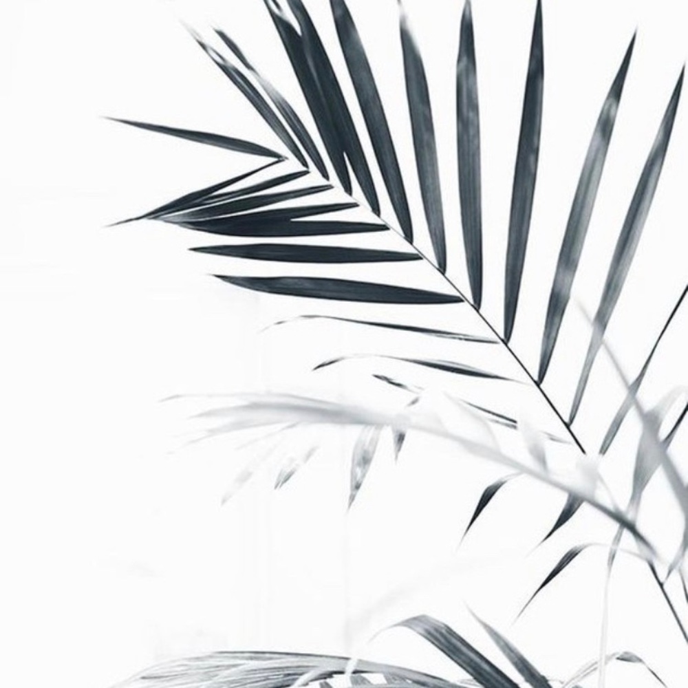 Meet your Posher, Moani